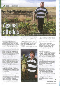 Fodder Beet - Against all odds - Geoff McAtamney - Countrywide